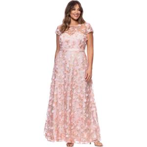 Xscape Womens Lace Illusion Neck Embroidered Floral A-line Floor Length Dress (Plus)(Blush/Multi)